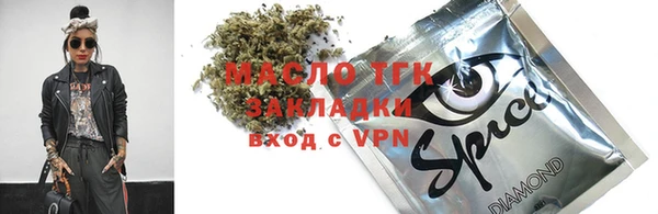 эйфоретик Няндома