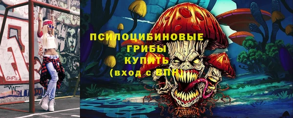 эйфоретик Няндома