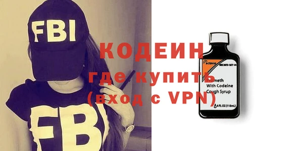 эйфоретик Няндома