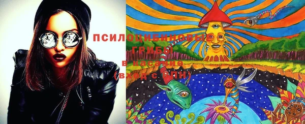 эйфоретик Няндома