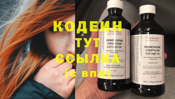 эйфоретик Няндома