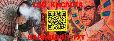 прущие крисы Бийск