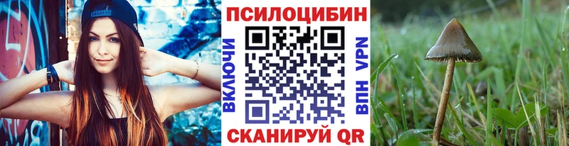 Псилоцибиновые грибы Psilocybine cubensis  купить наркоту  Урюпинск 