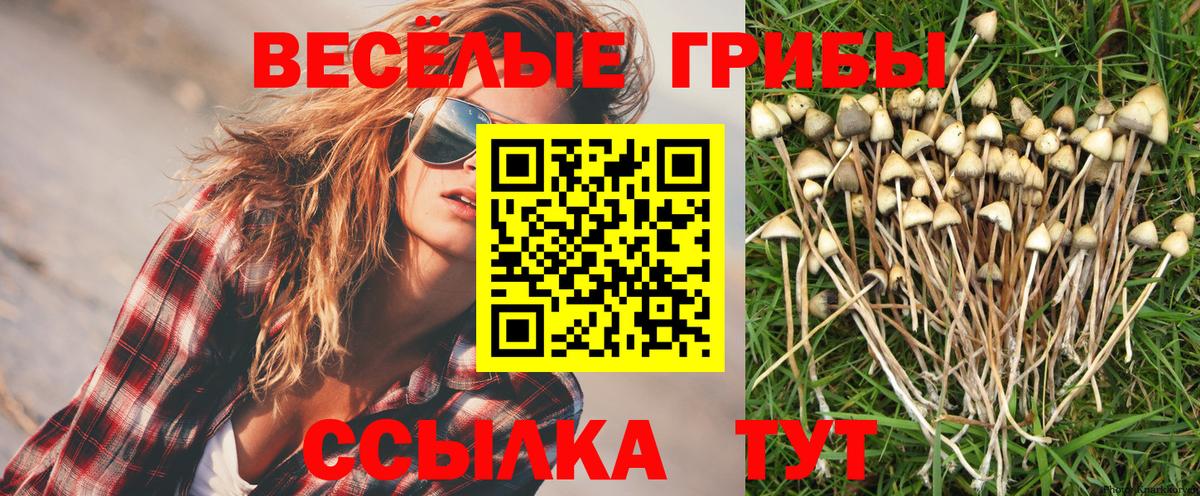 Псилоцибиновые грибы Magic Shrooms Урюпинск
