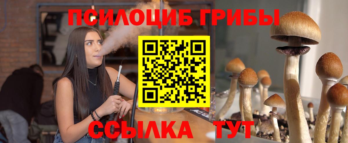 Урюпинск  Галлюциногенные грибы GOLDEN TEACHER  Вход с VPN 