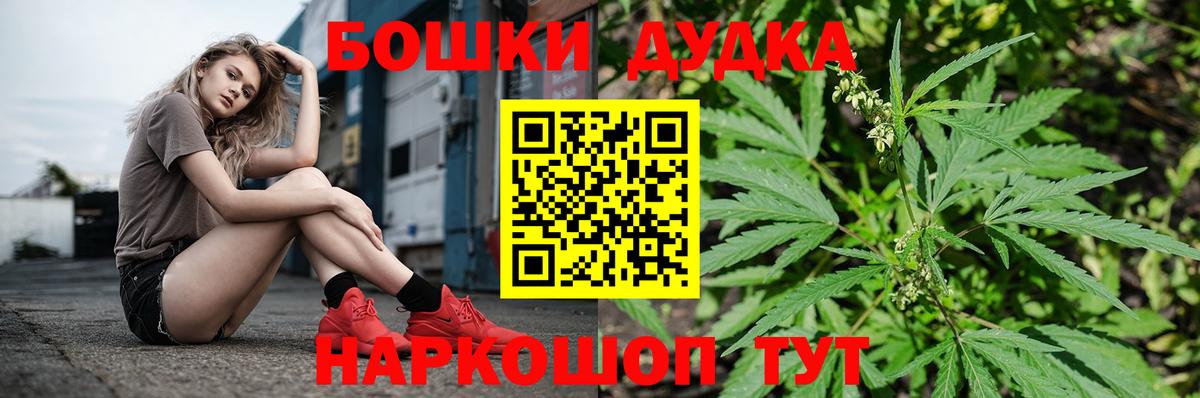 Бошки марихуана конопля  Урюпинск  Канабис сатива 