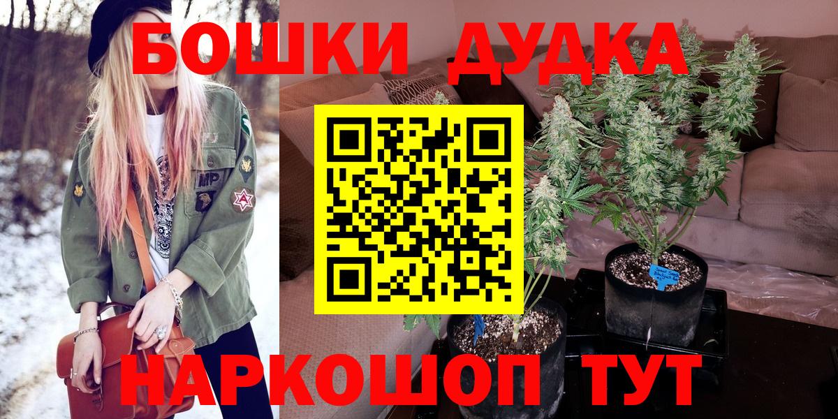 Канабис сатива Урюпинск